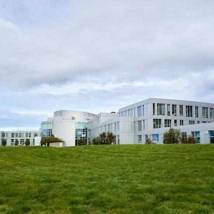 Hier ist ein Bild der University Reykjavik zu sehen.