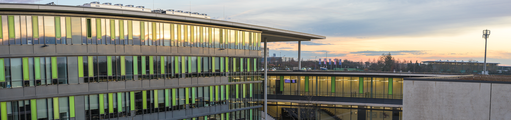 Forschung :: Technische Hochschule Würzburg-Schweinfurt